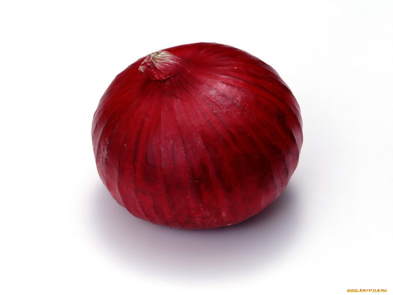 , 